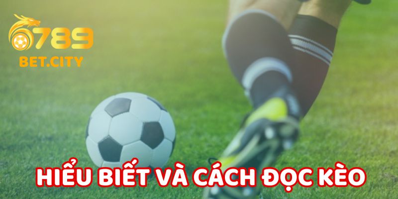 Hiểu biết và cách đọc kèo rung tại 6789.